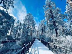 -瓦屋山景区