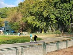 -深圳野生动物园