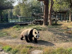 -宁波野生动物园