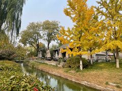 -春风习习
