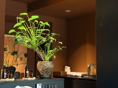 -泰·菩提树下[泰式按摩x精油SPAx肩颈头疗](新景店)