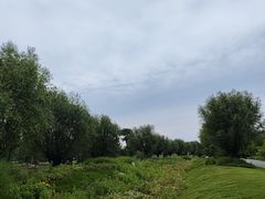 -汉长安城未央宫国家考古遗址公园