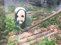 -黔灵山公园-南门售票处