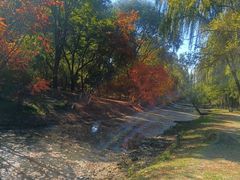 -长白岛森林公园