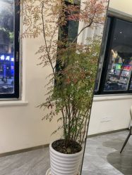 -吉艺心专业美发造型