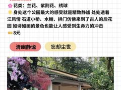-广州长隆欢乐世界
