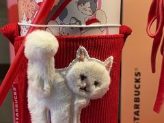 -星巴克(深圳北站B5检票口)