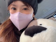 -PAWTOY爪e玩偶店(天兴罗斯福店)