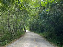 -青峰峡国家森林公园