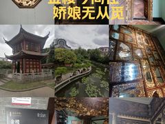 -碧江金楼