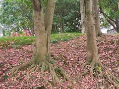 -潜口民宅博物馆