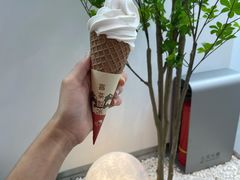 椰椰雪糕-喜茶(中山利和新地店)