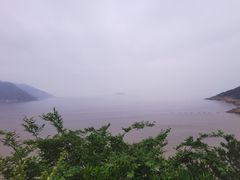 -北岐滩涂