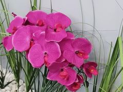 -福禄财东北菜(珠江帝景店)