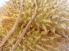 -华盛果品大卖场(黄桦路店)