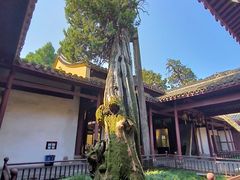 -太平天国侍王府