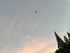 -秋霞圃