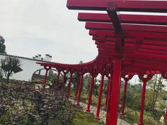 -都江堰玫瑰花溪谷