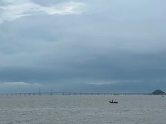 -野狸岛