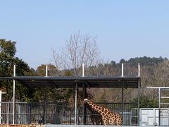 -上方山森林动物世界