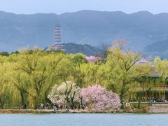 -颐和园