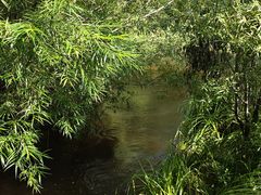 -塞罕坝国家级自然保护区