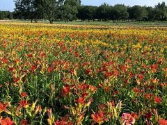 -汉长安城未央宫国家考古遗址公园