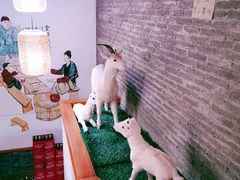 -老开封羊肉汤(新二十六街店)