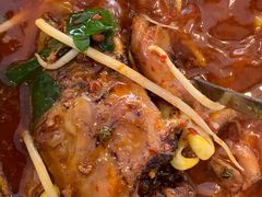 -中和远东火锅兔(老店)