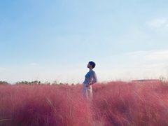 -映月湖中央公园
