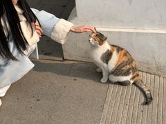 -西园寺素食(西园弄戒幢律寺店)