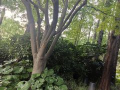 -上海德众堂中医门诊部·骨伤·推拿·针灸