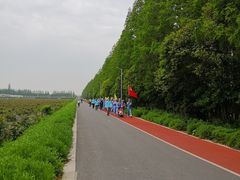 -上海长兴岛郊野公园