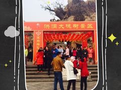 -大槐树寻根祭祖园