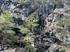 -石台牯牛降景区