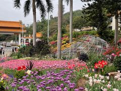 -深圳仙湖植物园