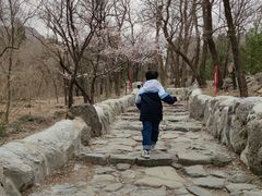 -阳台山自然风景区