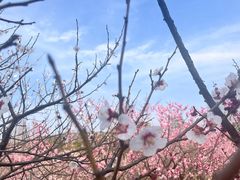 -无锡梅园公园