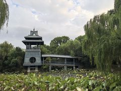-金鸡湖桃花岛