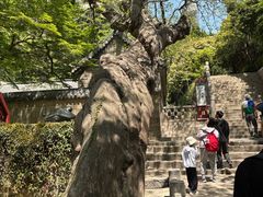 -青岛崂山太清宫