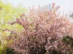 -元大都城垣遗址公园