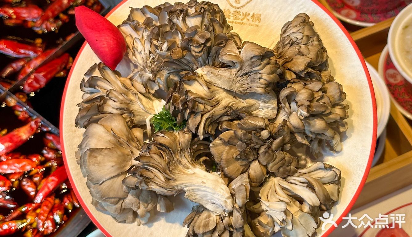 兄弟伙在北碚的宝藏火锅店！喊我莫到处说