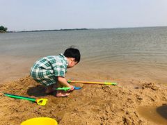 -瑶湖郊野森林公园