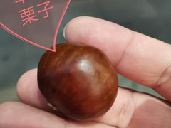 -陈记栗子(长宁路店)