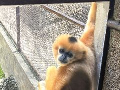 -昆明动物园
