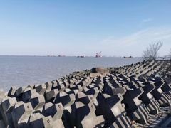 -上海滨江森林公园