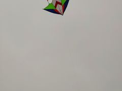 -济南国际园博园