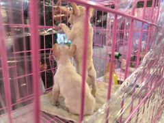 -方恒购物中心(望京小街店)