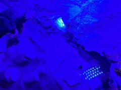 -高新活力汇Vitality