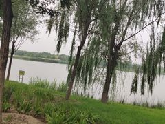 -东郊湿地公园